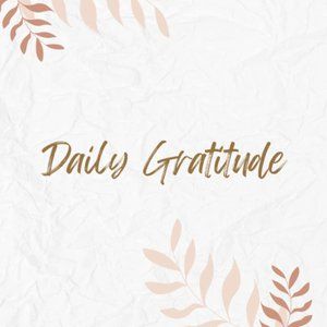 90 day gratitude journal
